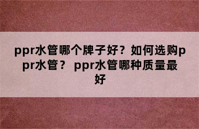 ppr水管哪个牌子好？如何选购ppr水管？ ppr水管哪种质量最好